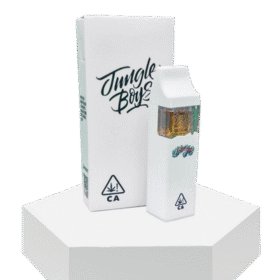 jungleboys
